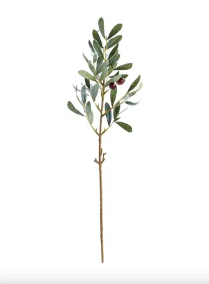 19.5" Olive Stem