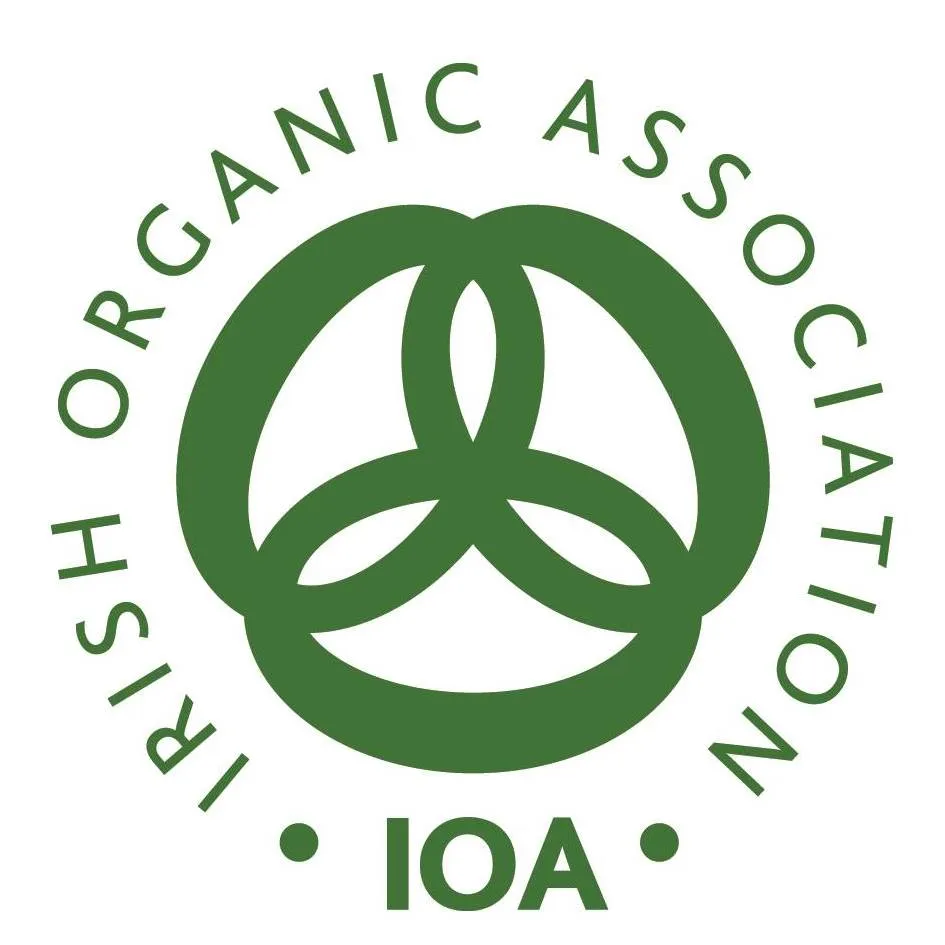 Bacci Noemio Organic Extra Virgin Olive Oil (500ml) –  100% Moraiolo