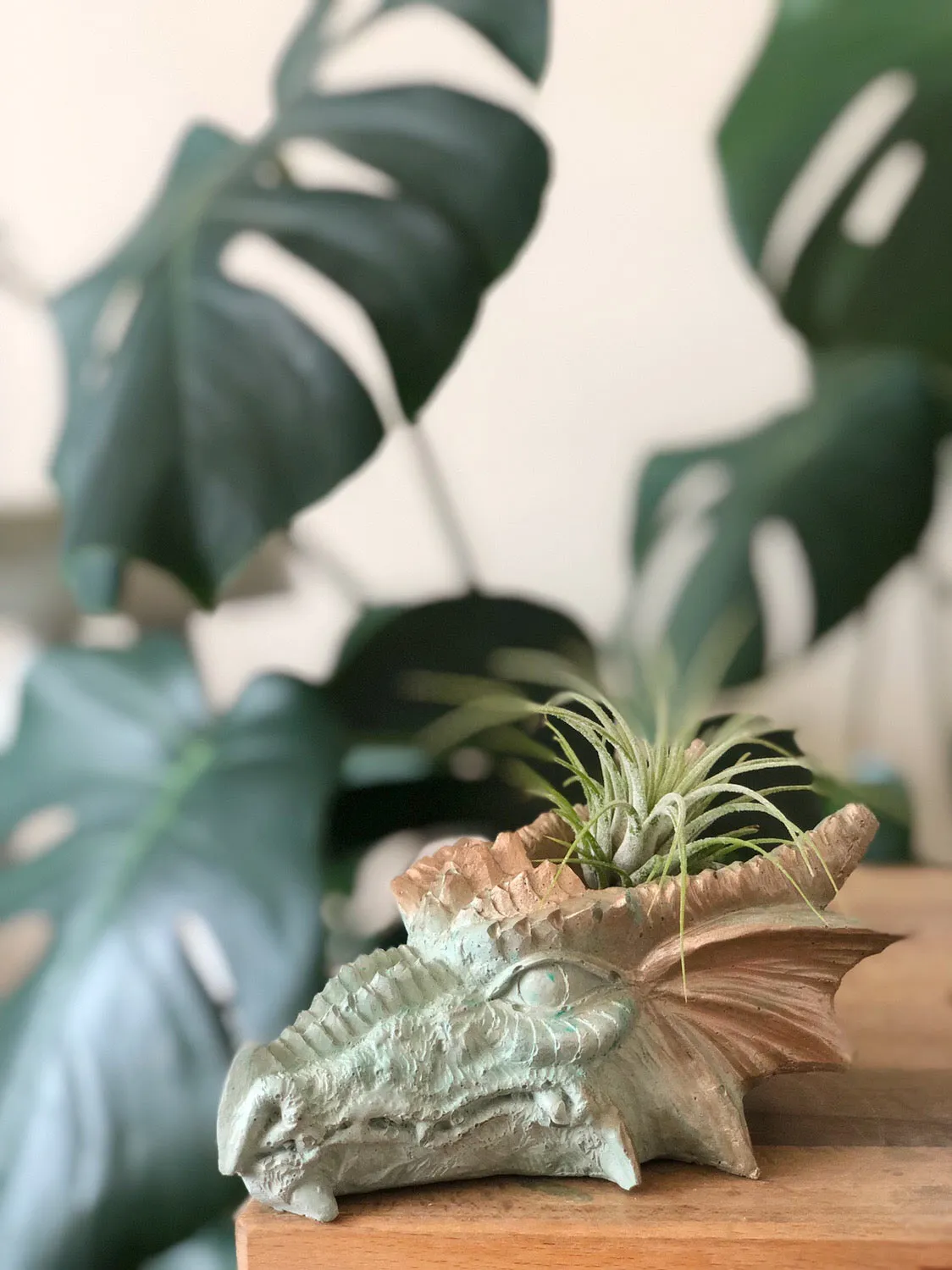 Dragon Head Planter