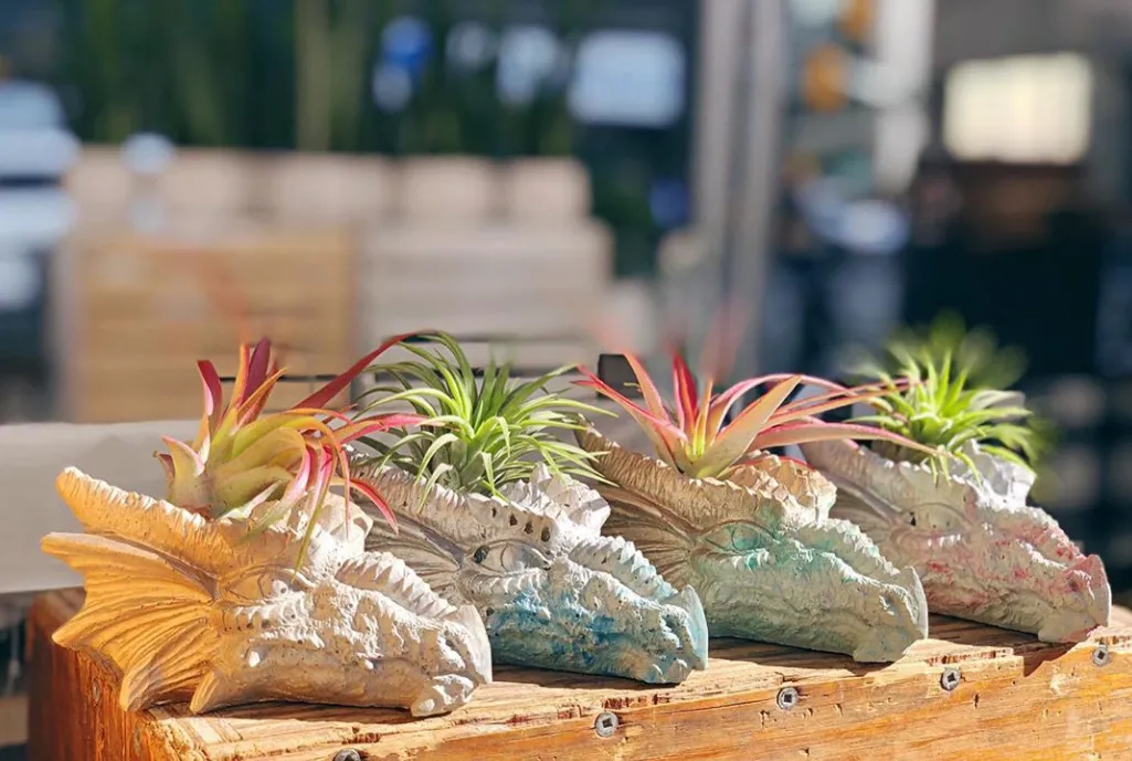 Dragon Head Planter