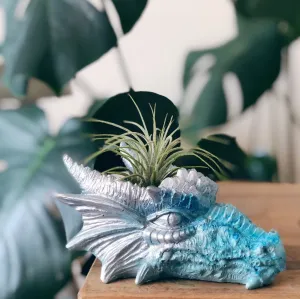 Dragon Head Planter