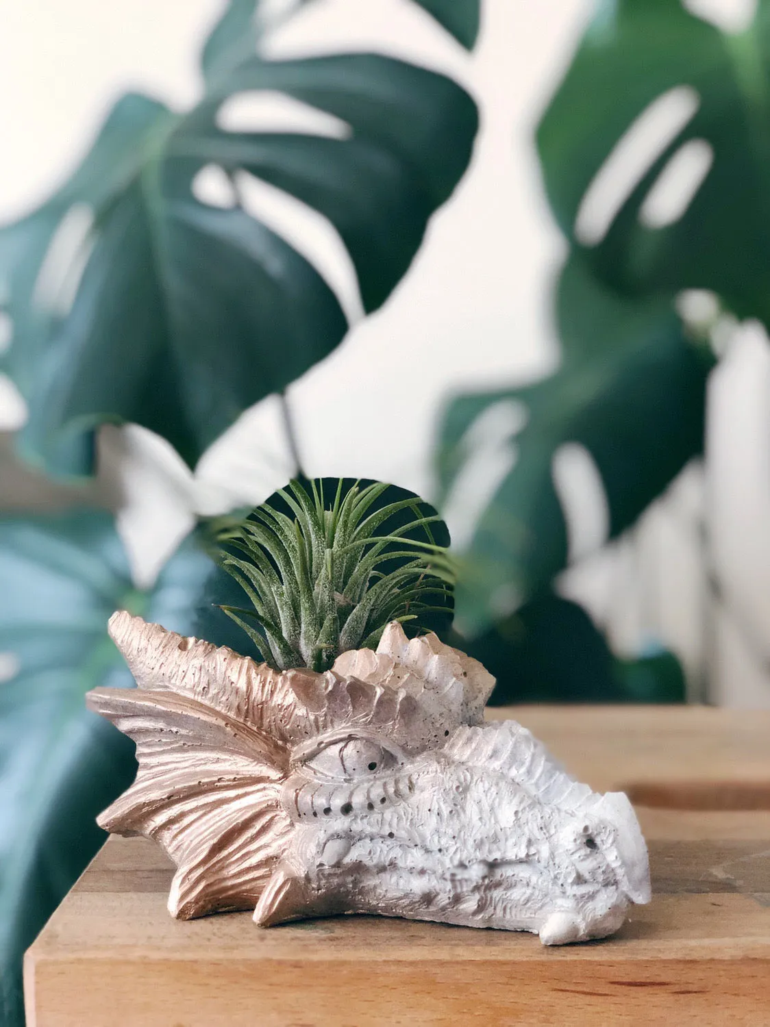 Dragon Head Planter