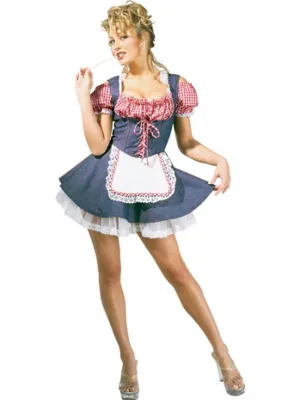 Farmers Daughter Secret Wishes Costume Size M