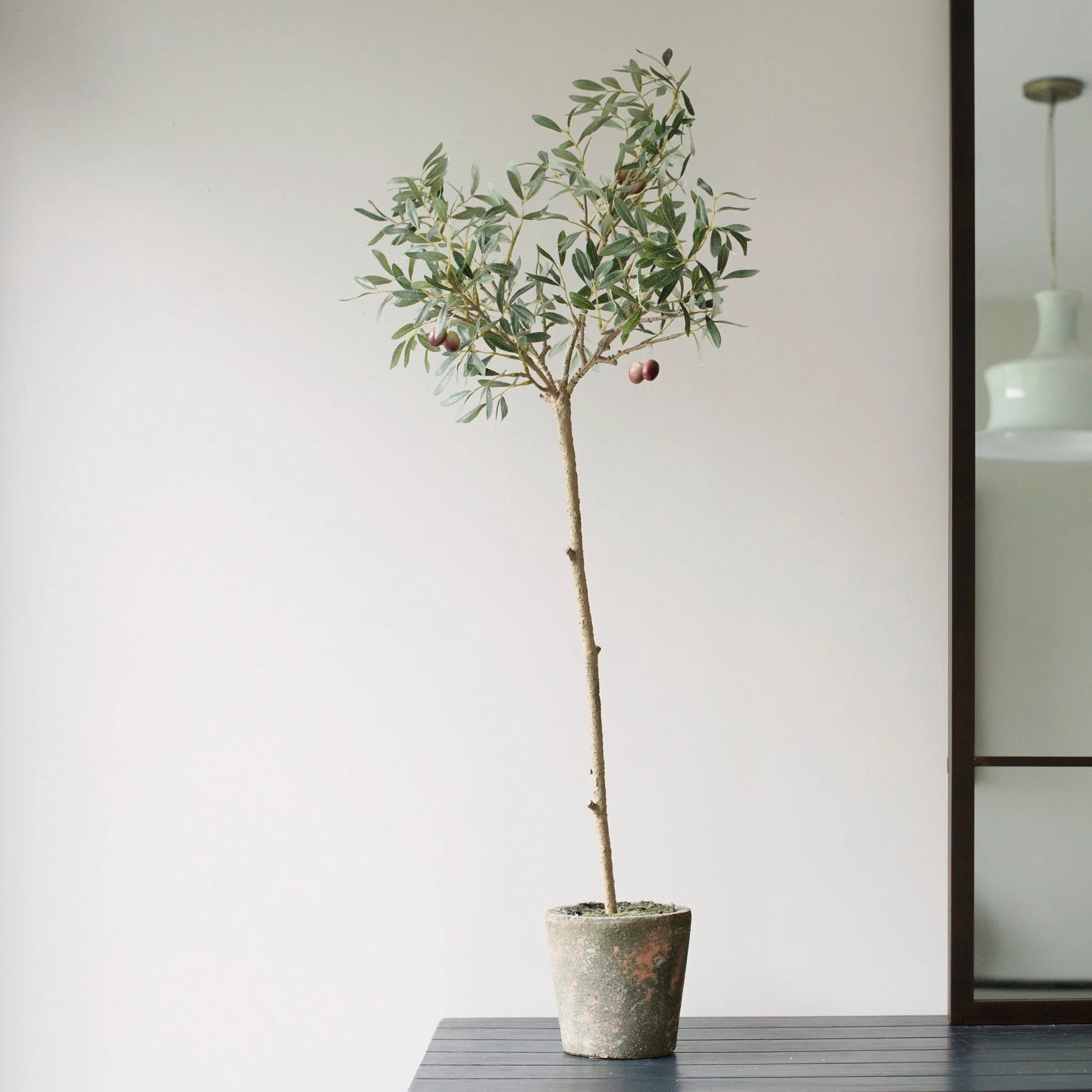 Faux Olive Tree in Ceramic Garden Pot