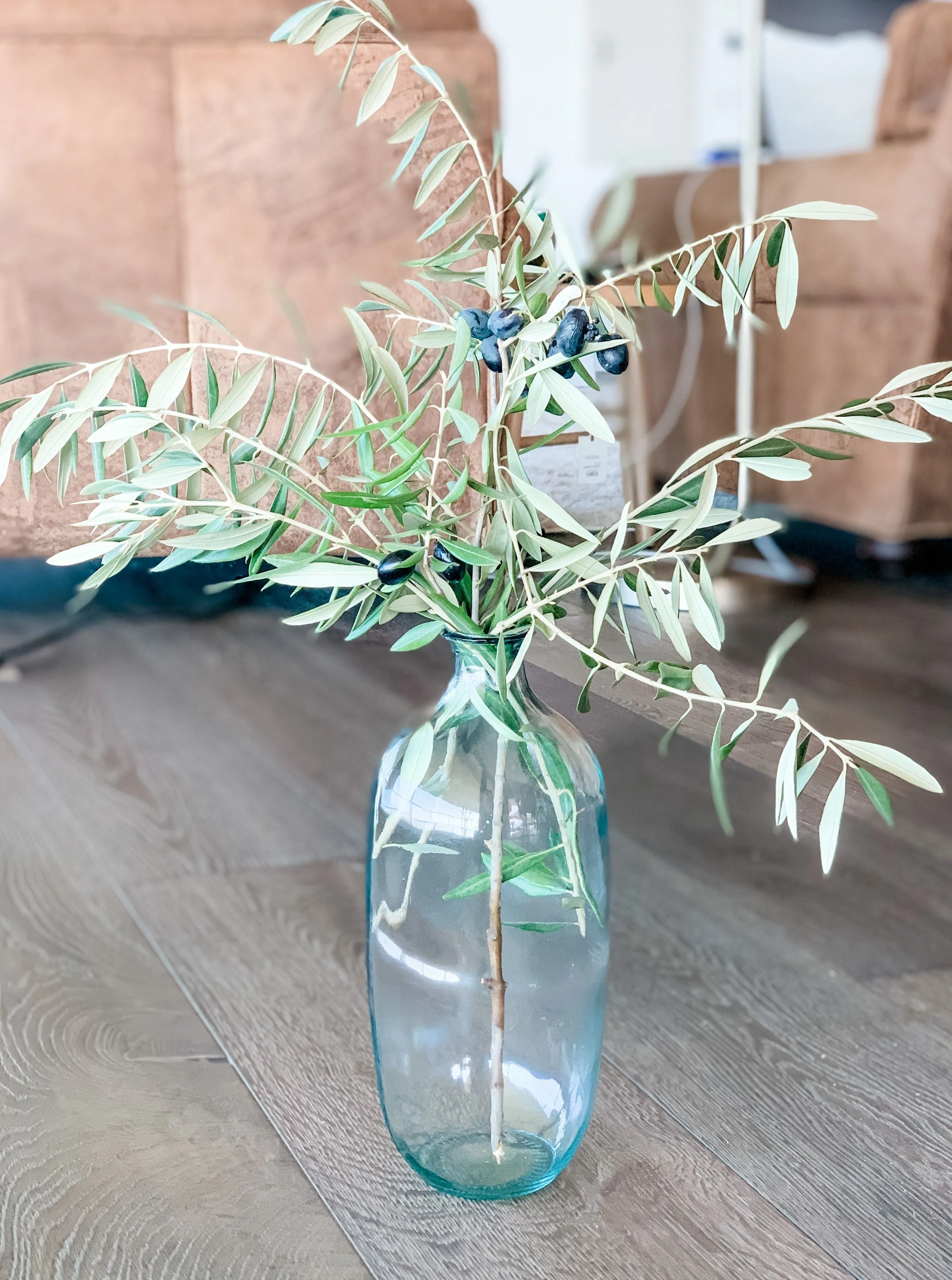 Fresh Olive Branch Greenery