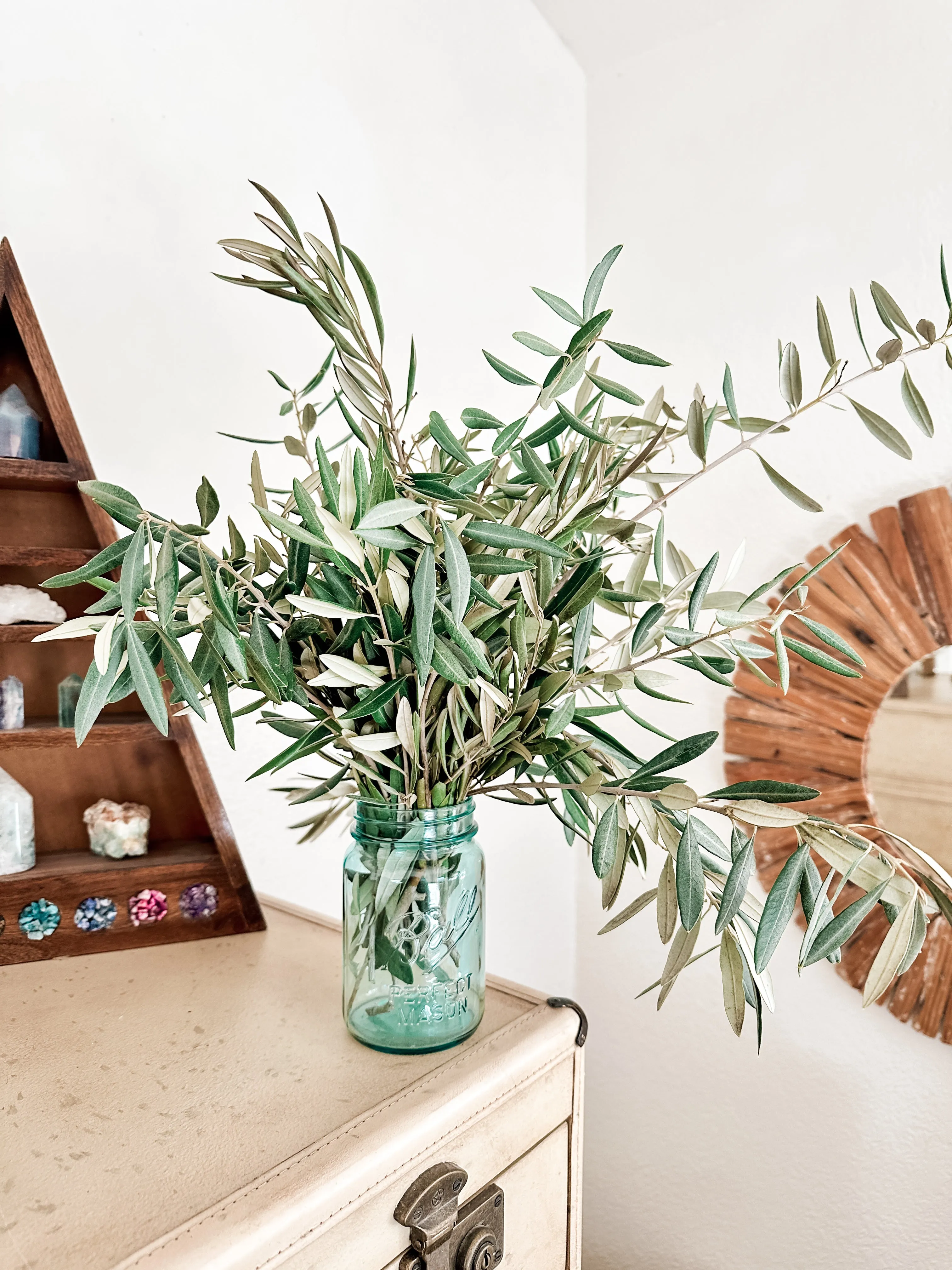 Fresh Olive Branch Greenery