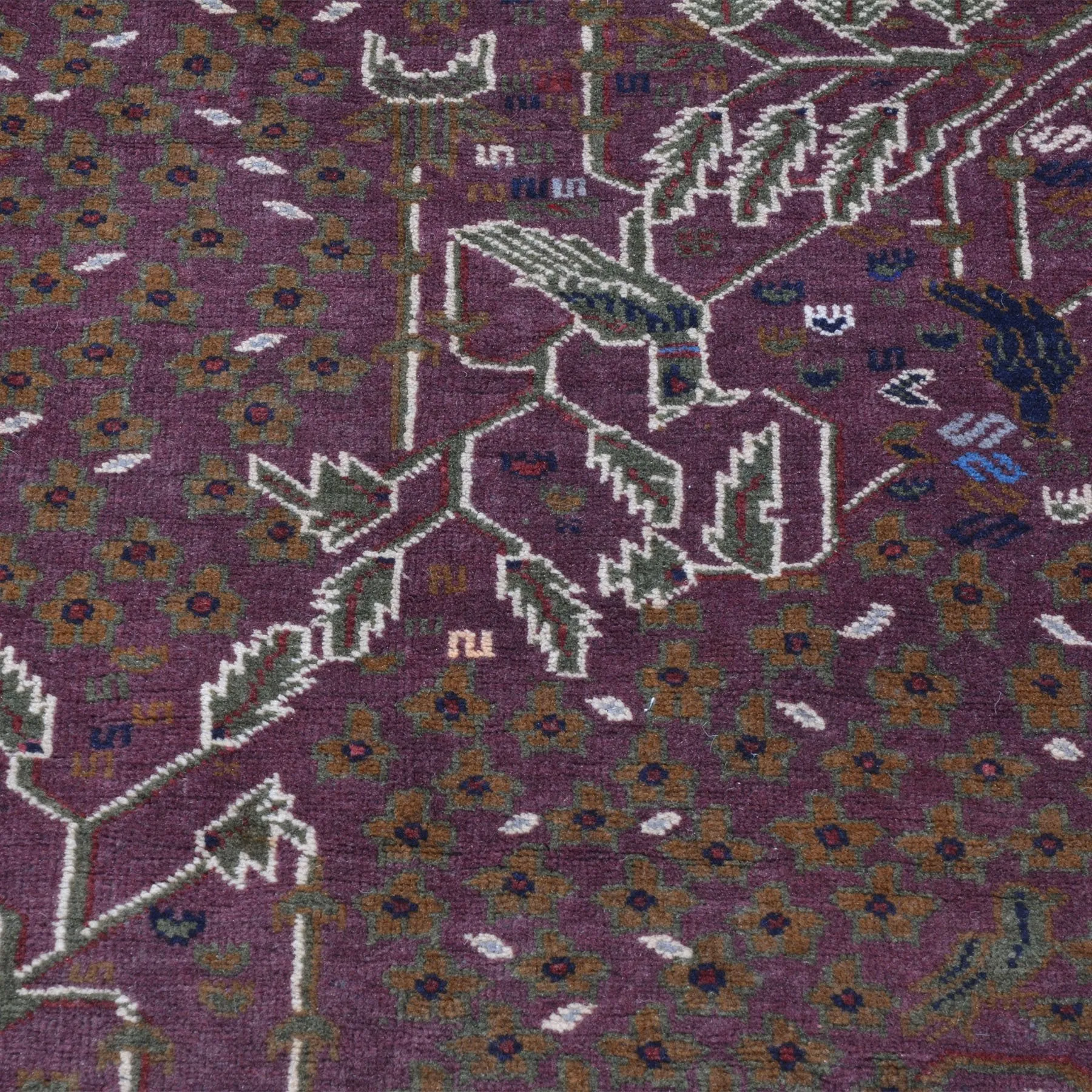 Hand-Knotted Afghan Tribal Pictorial Handmade Oriental Wool Rug (Size 5.4 X 8.1) Cwral-5988
