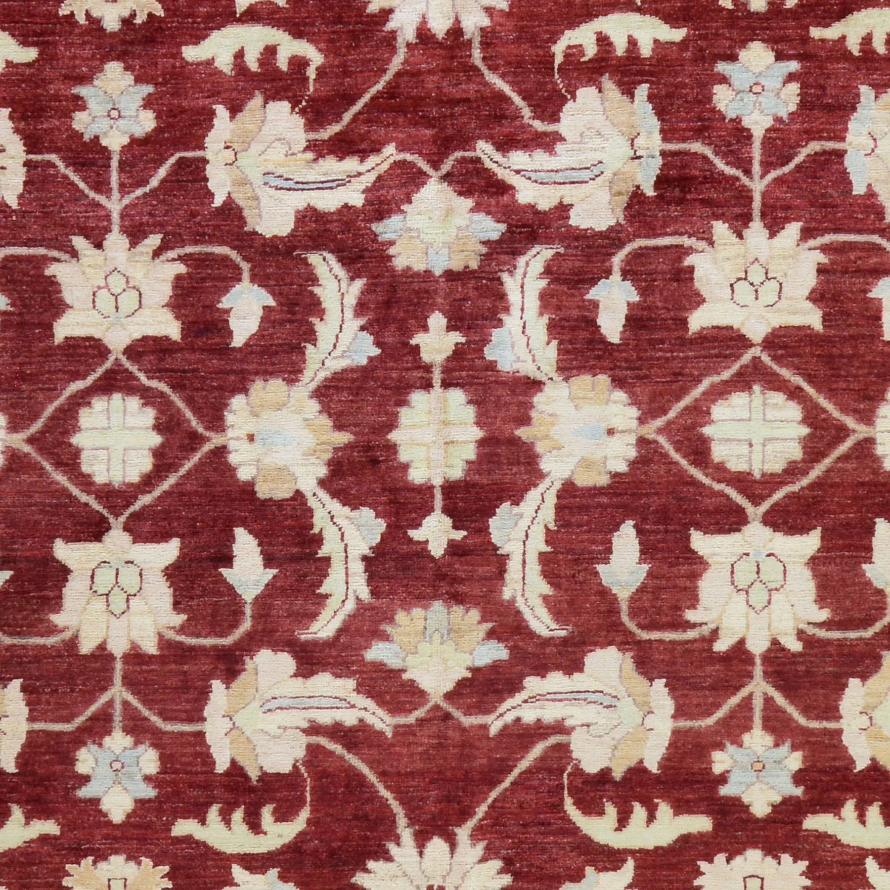 Hand-Knotted Tribal Peshawar Chobi Design Wool Oriental Rug (Size 8.0 X 9.11) Cwral-2562