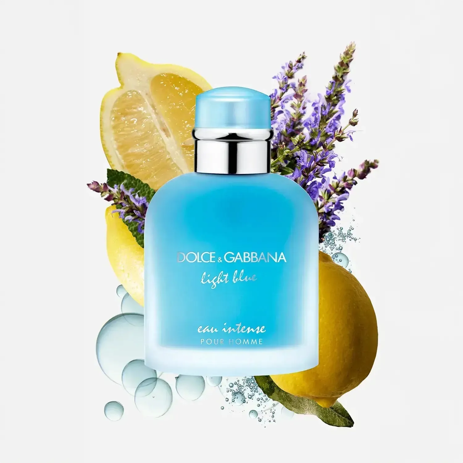 Light Blue Pour Homme Eau De Parfum Intense 3.3 Oz