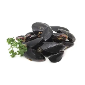 Mediterranean Mussels
