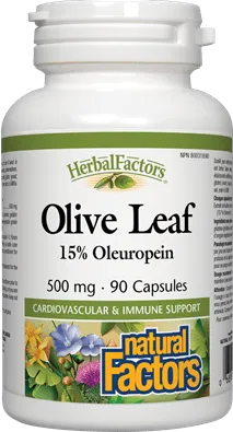 Natural Factors HerbalFactors Olive Leaf 500 mg (90 Capsules)