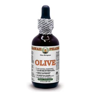 Olive (Olea europaea)