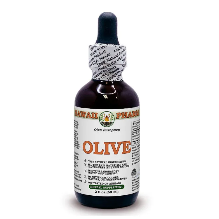 Olive (Olea europaea)