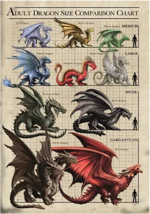 Size Chart Dragons Card