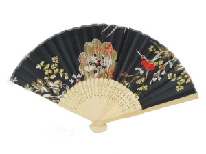 Small Bamboo Fan