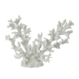 White Coral
