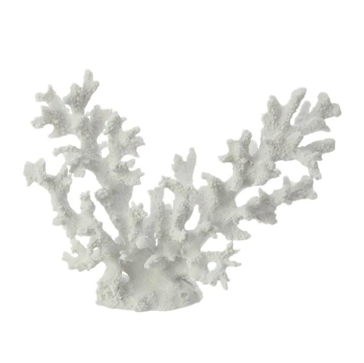White Coral