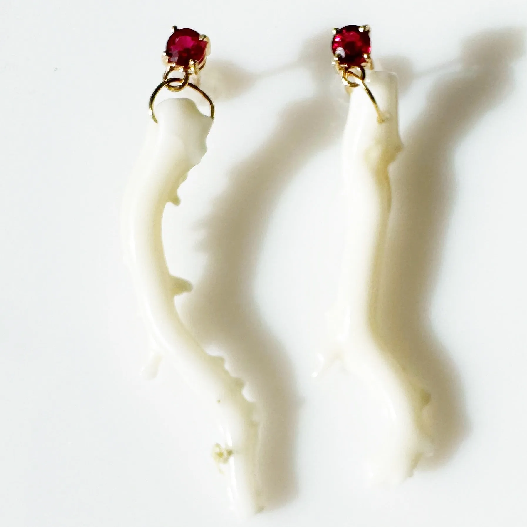 White Lophelian Coral and Ruby Earrings