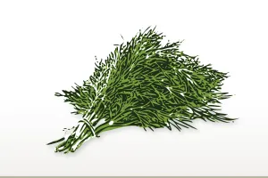 Wild Fernleaf Dill Olive Oil