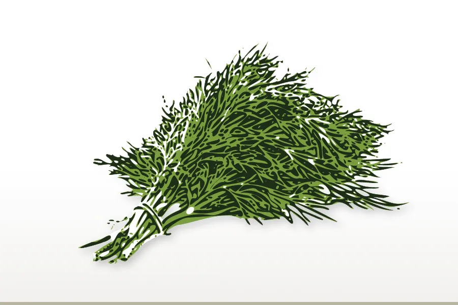 Wild Fernleaf Dill Olive Oil